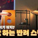 스티브집스