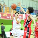 성남초교 이미지