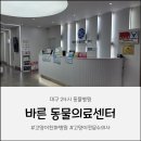 고양이 친화병원 대구24시 바른동물의료센터에서 고양이 종합건강검진 받았어요