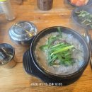 동백파출소 | [국내여행]제주여행 9일차, 산길이 많았던 9코스 완주!