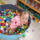 i와숲어린이집 이미지