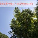 세움행정사사무소 이미지