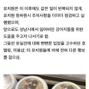 애견 유치원에서 개를 잃어버린 사건 발생 이미지