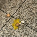 크라우드 PC방 제원점 이미지