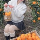 미래로목장 이미지