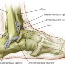 서귀포재활의학과의원 이미지