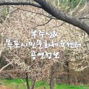 부주산 시민문화체육센터 | 목포 부주산 산책 남악 걷기 코스 운동 목포시민문화체육센터 어린이 뮤지컬 공연정보