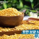 빈푸드 - 수성구 | 빈푸드