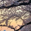 풍산공설시장 이미지