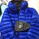 블루몽키 이미지