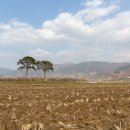 신안슈퍼 이미지