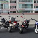 Dsc02100.jpg 이미지