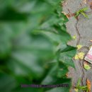 성수역 2번출구 이미지