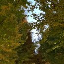 호계로 291번길 이미지