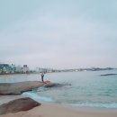 쌍둥이네활어회