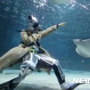 코엑스아쿠아리움 이미지