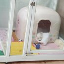 오늘 하루,머랭 이미지