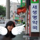 새생명약국 이미지