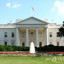 백악관 이미지