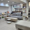 수종합동물병원 이미지