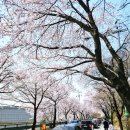 세븐일레븐 평택은혜로점 이미지