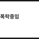 서울 SNP