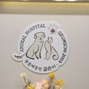동물제중원금손이 동물병원 이미지