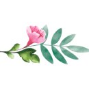 김녕윈드스톤