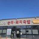 호계중학교 | 울산 매곡 호계중 여름 한정 메뉴 모밀소바 맛집 100번순대돼지국밥 솔직후기