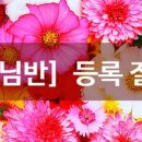 신능중학교 이미지