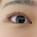 세니브로우