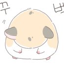 돈카츠마켙 운서점 이미지