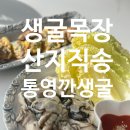 바다목장 | 통영 바다 그대로 담은 맛, 생굴목장 통영 생굴(대) 1kg 솔직 후기