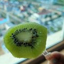 담을과 | 전주수제청 전주컵과일 '담을과' 당도 높고 신선한 과일 도시락, 수제청 후기
