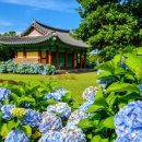 드라이빙제주 - 제주시 남성로 98-1 | 드라이빙제주