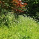 명달근린공원 이미지