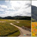 고택약수터 이미지