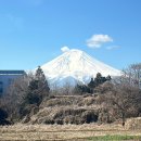 오이시투 | [일본] Day2-1. 도쿄 후지산 일일투어 (+마이리얼트립 예약 내돈내산 솔직후기)