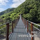 생태다리 이미지