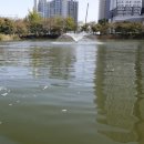 안흥유원지 이미지