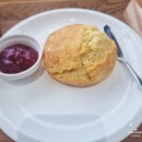 성산마을 동백하우스토리 | 제주 동쪽 성산 가볼만한 곳 삼달리 꽃밭에서 | 동백꽃 외부 정원과 감성카페 내돈내산 후기