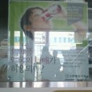 새들약국 이미지