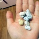 석기시대 이미지