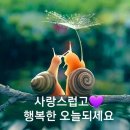 사랑스럽고 행복한 오늘되세요 / 카톡 인사글 이미지 공유 이미지