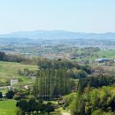 새한개량한우목장 | 서산 한우목장 웰빙산책로 무료 반려견 산책 명소 개심사 근처