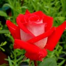 구미1동주민자치센터 이미지