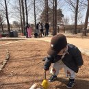 배들가축 | 안성팜랜드 아기랑 다녀온 후기 | 동물체험 가득한 주말 나들이