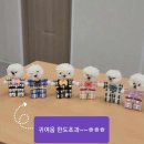 월담도서관 이미지
