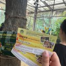 코끼리카프라자 | [푸꾸옥 2일차] 크라운플라자 조식&amp;수영장, 빈펄사파리, 그랜드월드