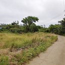 G1305 이미지